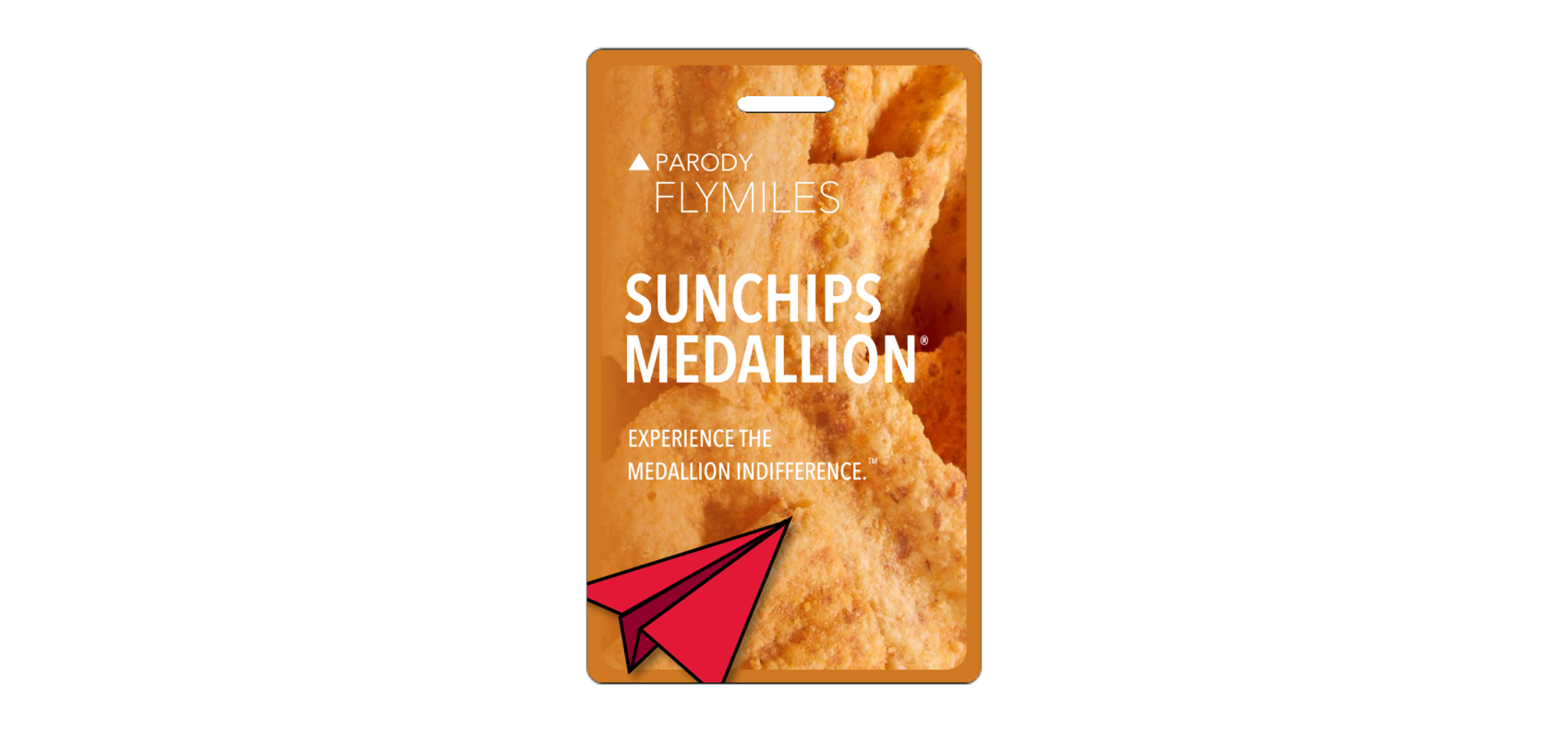 FlyMiles 2025 Delta Parody Luggage Tags — The Parody Popup Shop